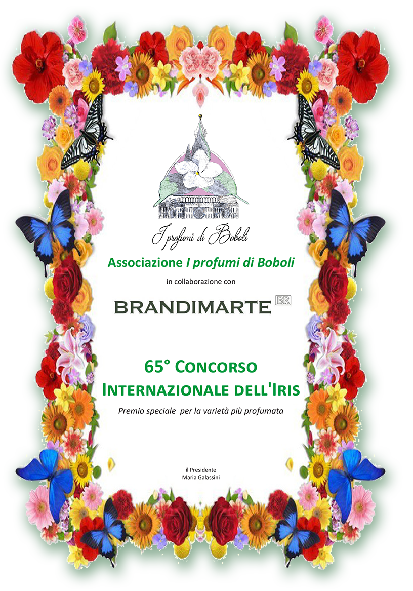 Diploma Premio speciale-ombra